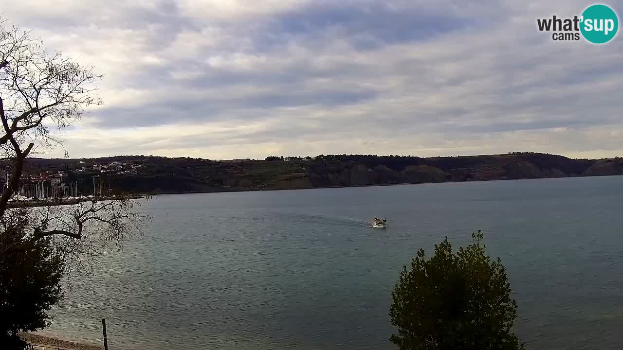 Isola – vista dal ristorante “Svetilnik – al Faro”