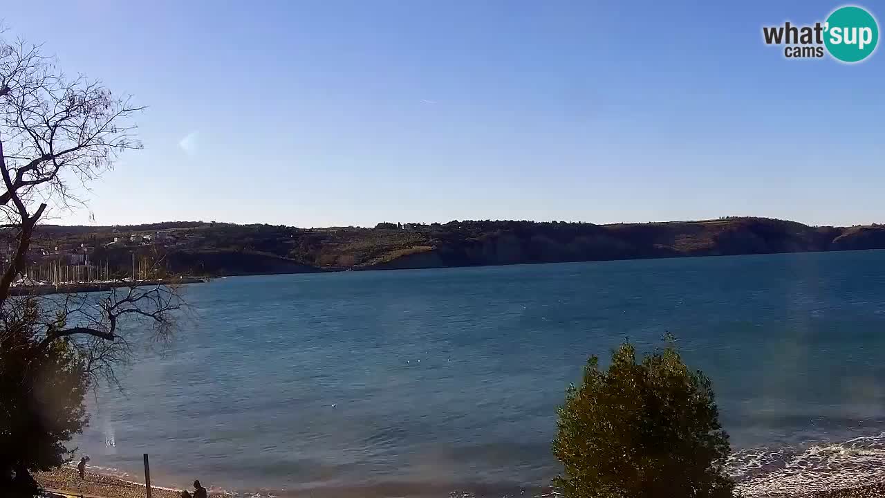 Isola – vista dal ristorante “Svetilnik – al Faro”