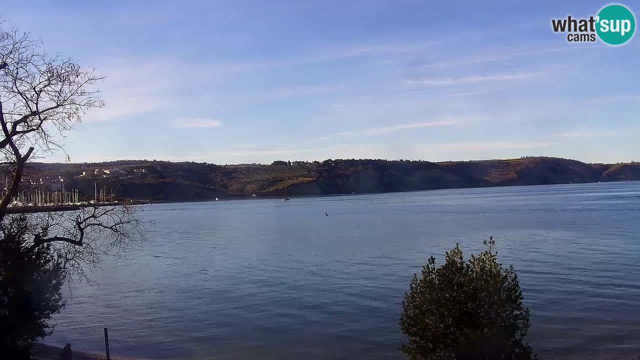 Izola – view from restaurant “Svetilnik”