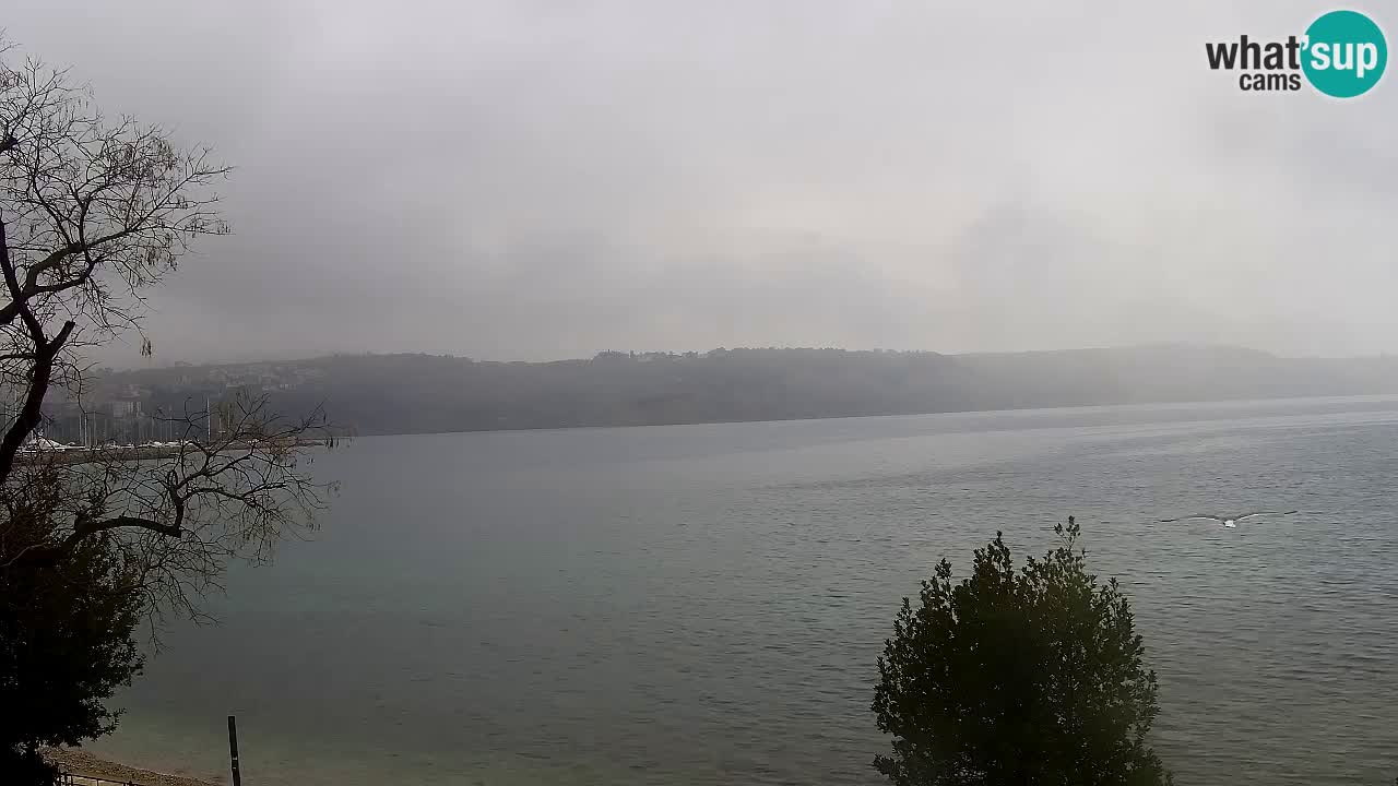 Izola – vue depuis le restaurant “Svetilnik”