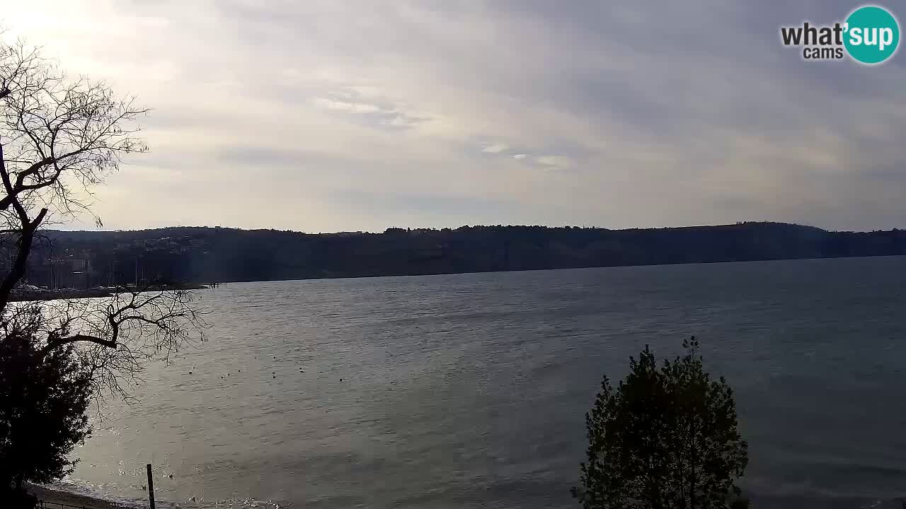 Izola – vue depuis le restaurant “Svetilnik”