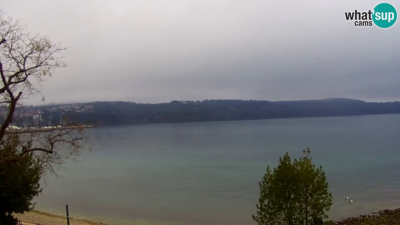 Izola – view from restaurant “Svetilnik”