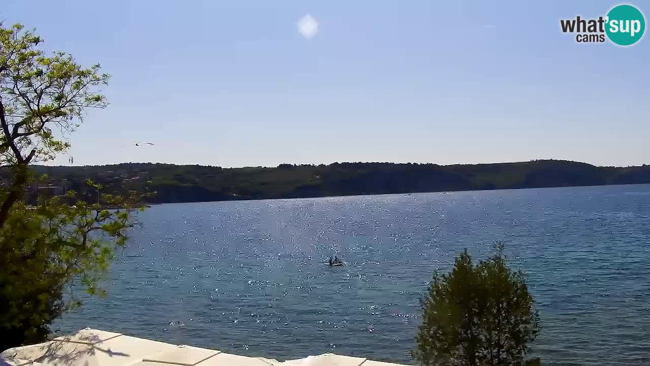 Izola – Vista desde el restaurante “Svetilnik”