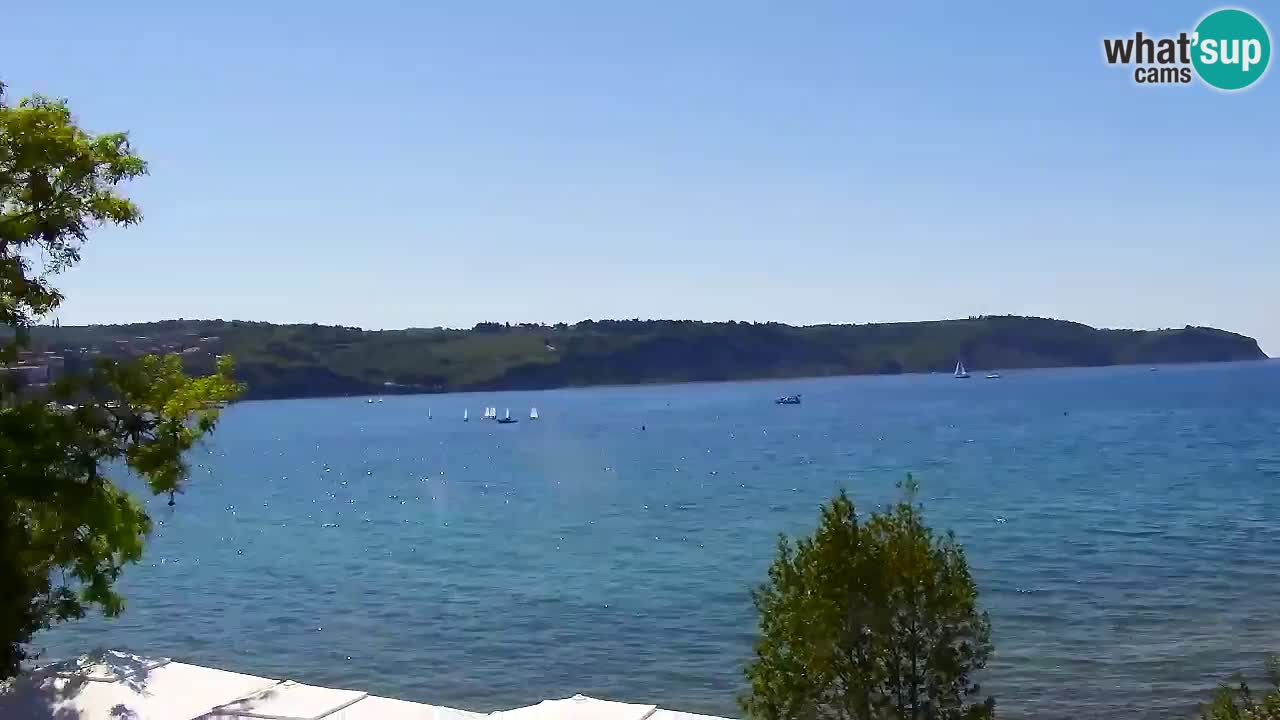 Izola – pogled sa restorana “Svetilnik”