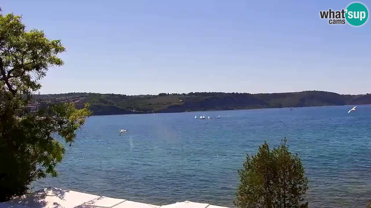 Izola – Blick vom Restaurant “Svetilnik”