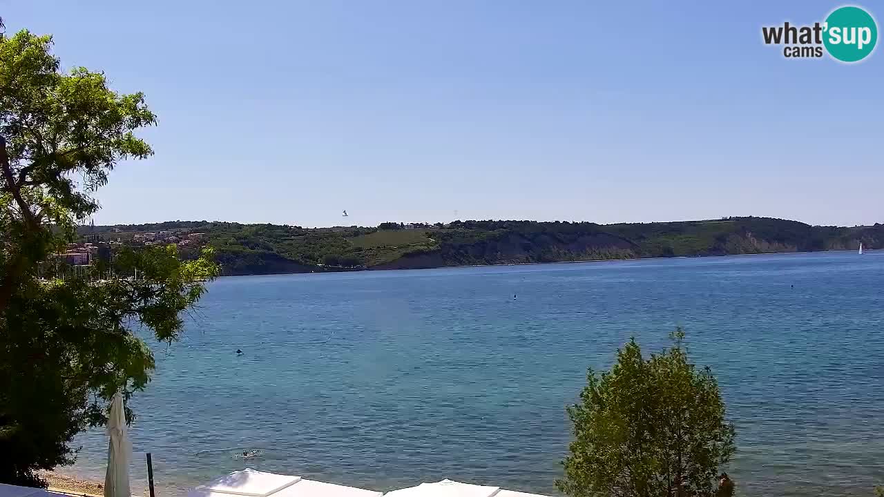 Izola – Vista desde el restaurante “Svetilnik”