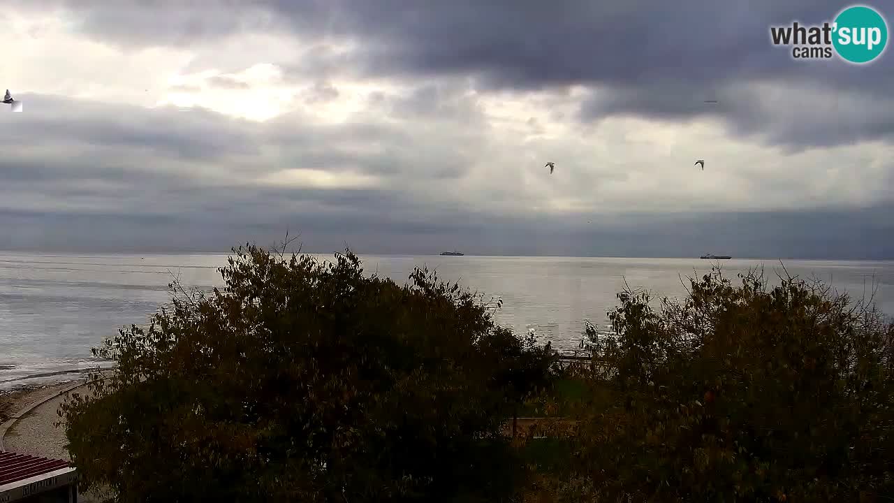 Izola Webcam – Restaurant Svetilnik an der Uferpromenade