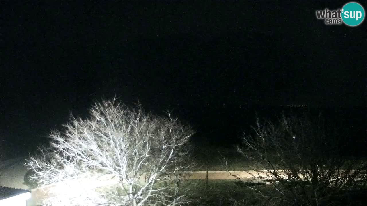 Izola Webcam – Restaurant Svetilnik an der Uferpromenade