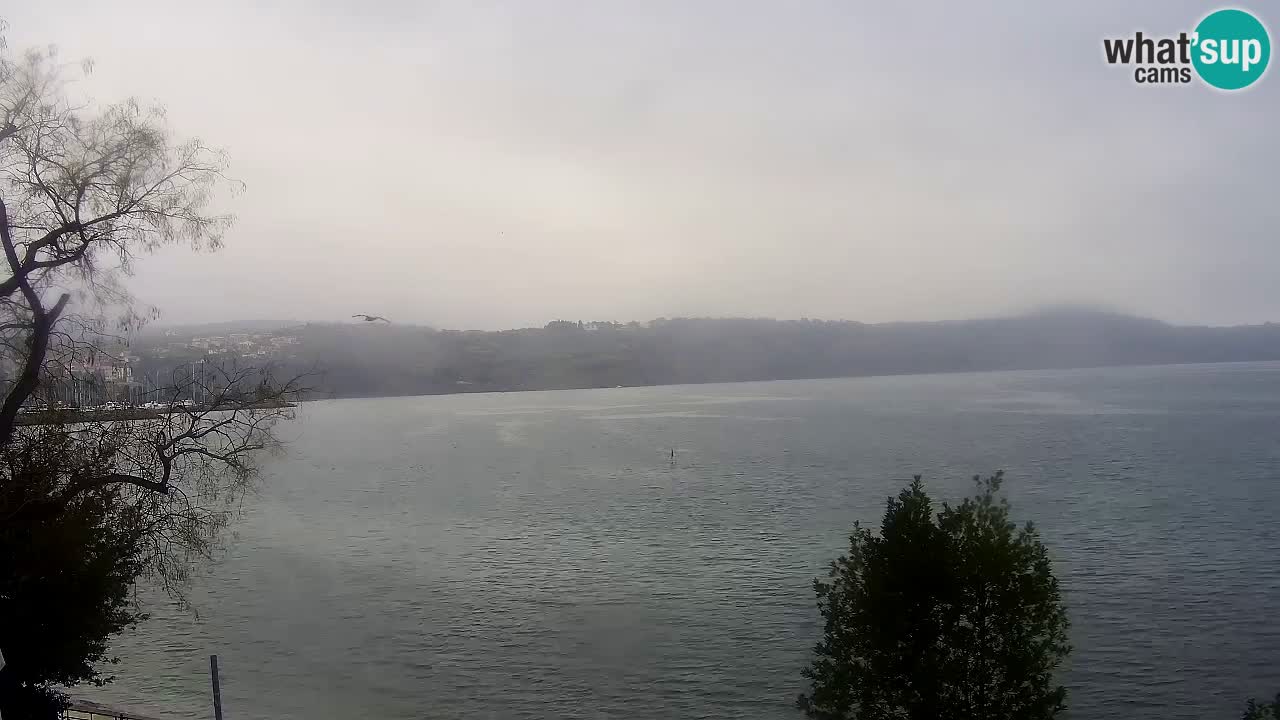 Isola – vista dal ristorante “Svetilnik – al Faro”