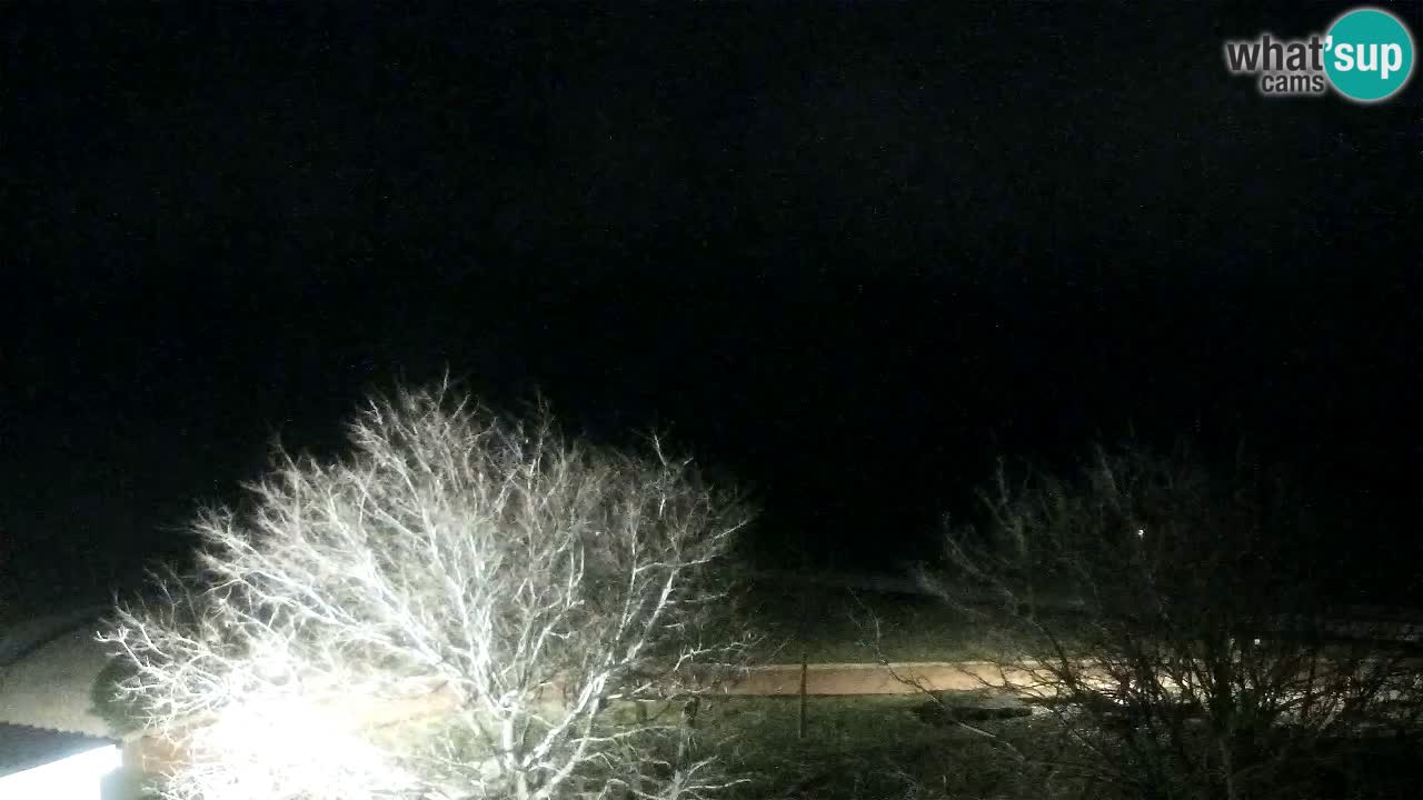 Izola Webcam – Restaurant Svetilnik an der Uferpromenade