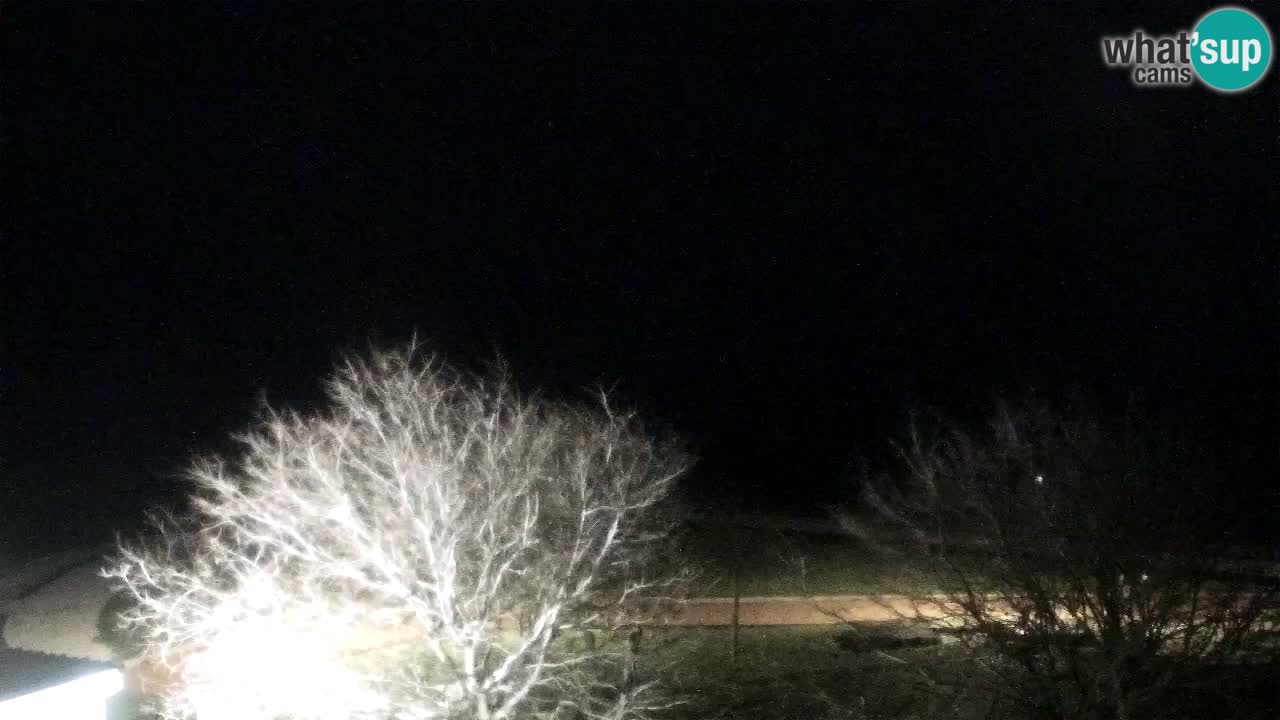 Webcam Izola – Restaurant Svetilnik sur le front de mer