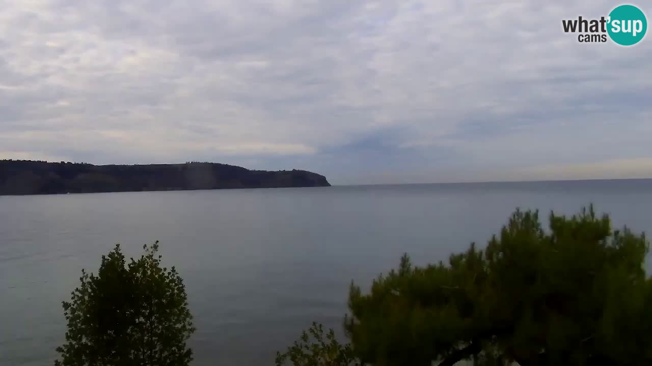 Webcam de Izola – Restaurante Svetilnik en el paseo marítimo