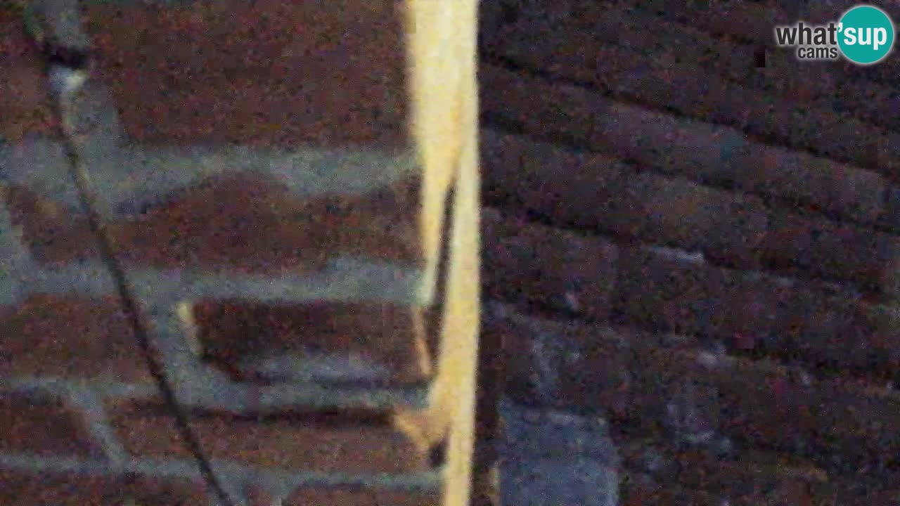 Webcam Isola – Ristorante Svetilnik sul lungomare