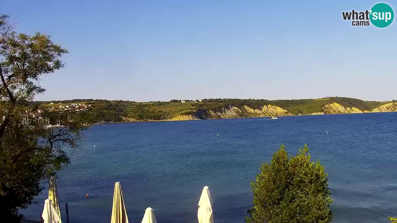 Webcam Isola – Ristorante Svetilnik sul lungomare