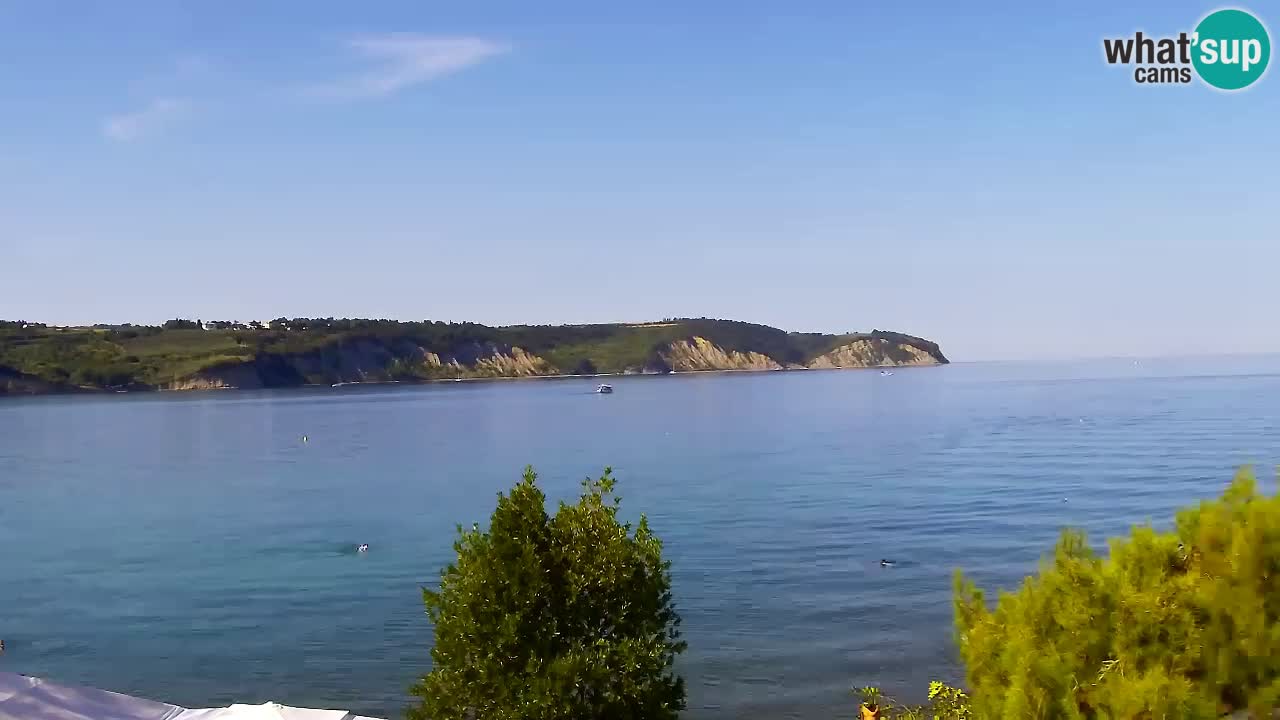 Webcam de Izola – Restaurante Svetilnik en el paseo marítimo