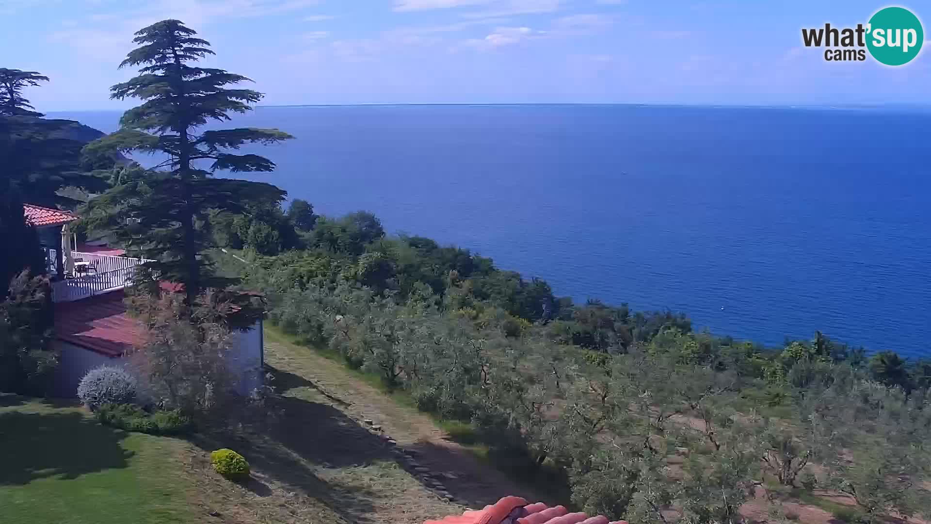 Izola live cam- Amazing view from Belvedere hotels