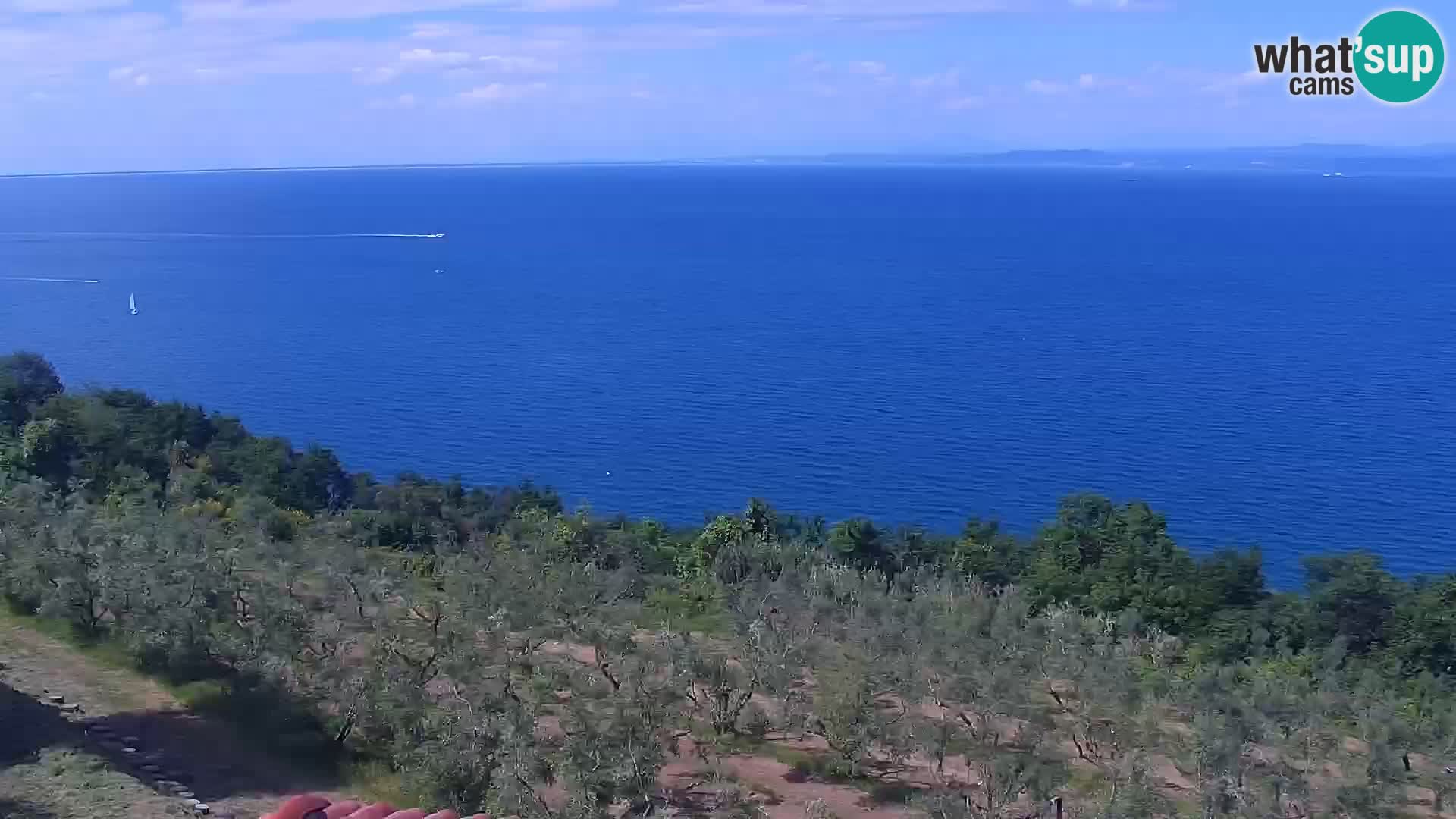 Izola v živo – enkraten pogled  s hotelov Belvedere