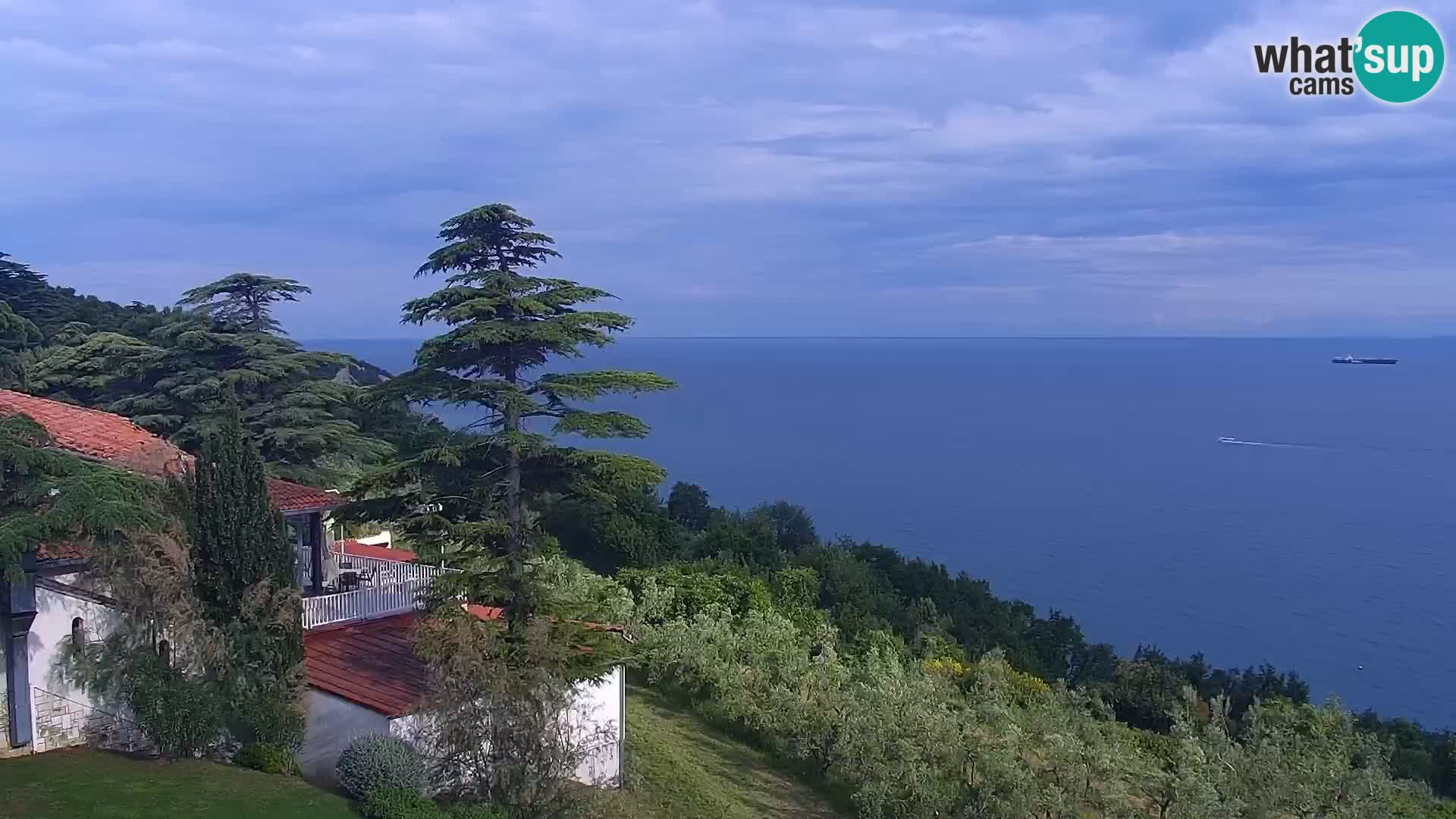 Izola live cam- Amazing view from Belvedere hotels