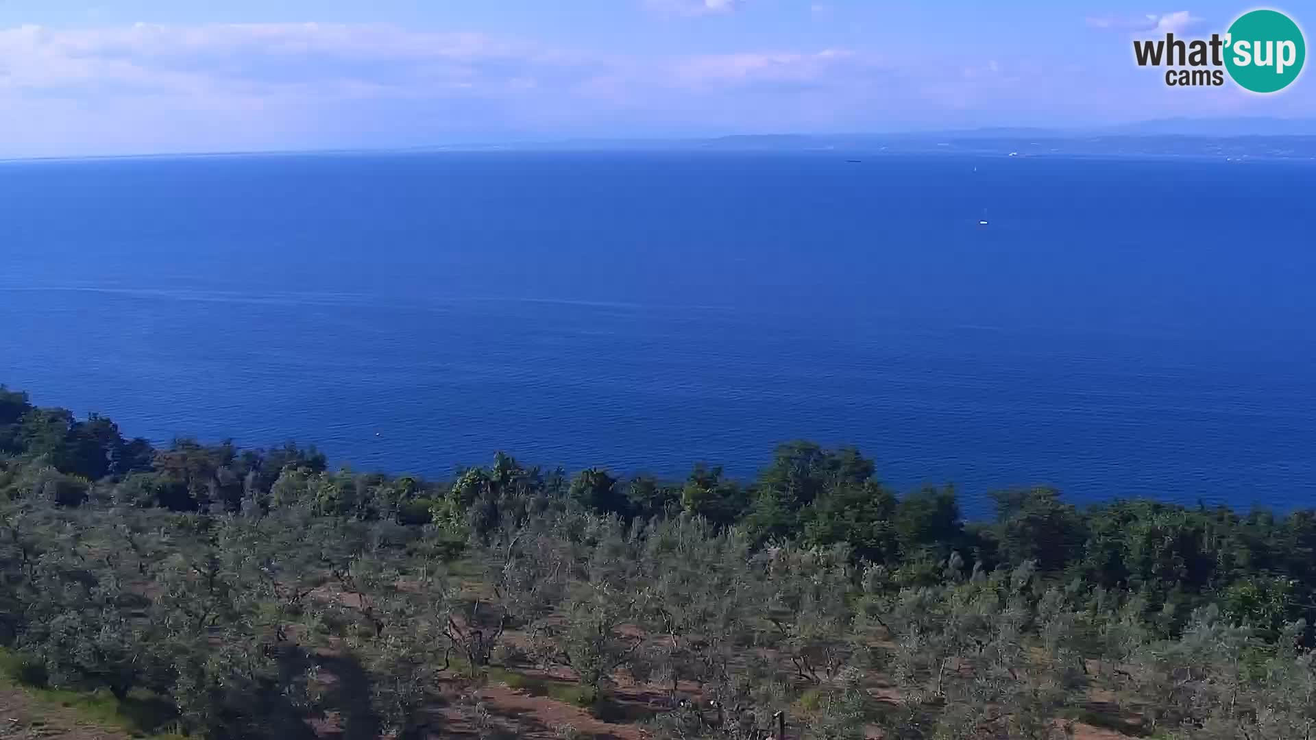 Izola en vivo – Amazing view from Belvedere hotels