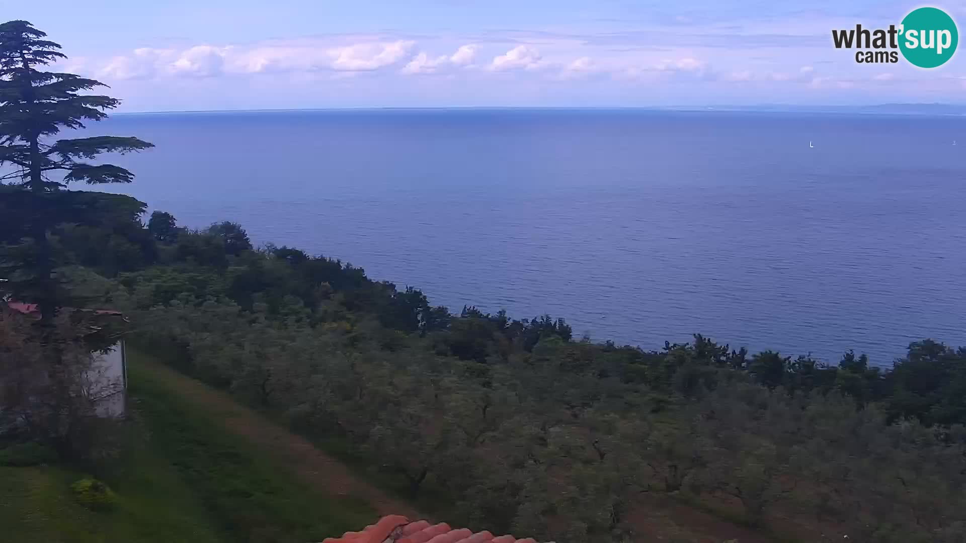 Izola webcam – Amazing view from Belvedere hotels
