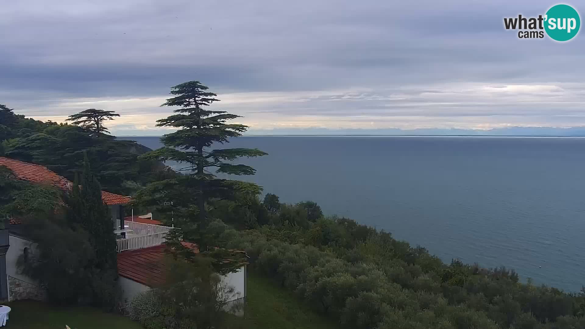 Izola live cam- Amazing view from Belvedere hotels