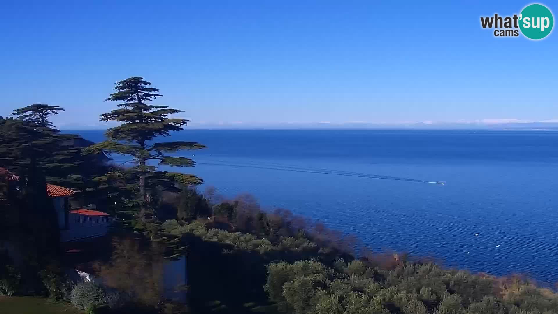 Izola v živo – enkraten pogled  s hotelov Belvedere