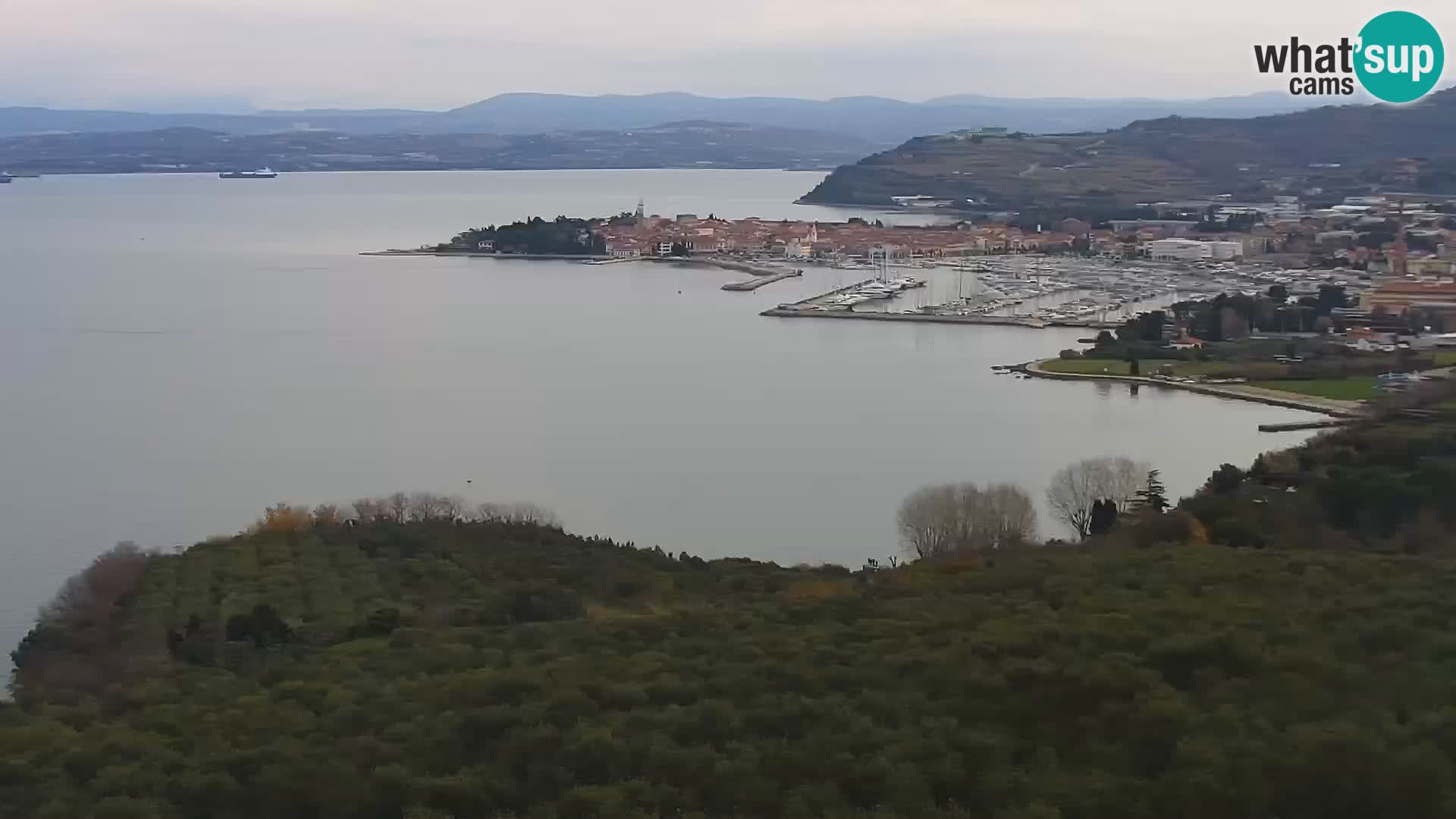 Izola live cam- Amazing view from Belvedere hotels