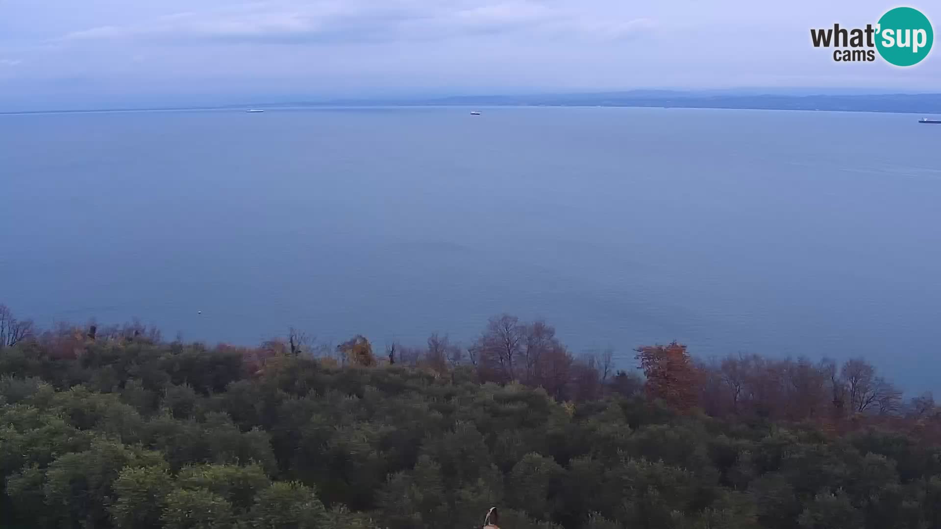 Izola webcam – Amazing view from Belvedere hotels