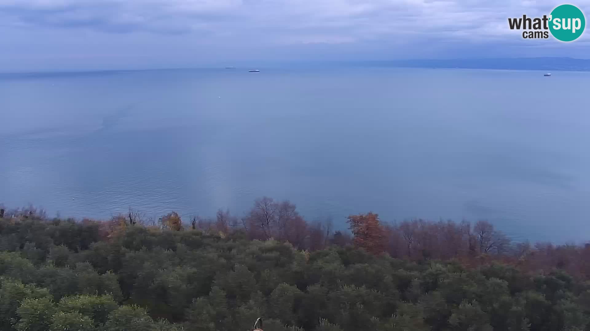 Izola en vivo – Amazing view from Belvedere hotels