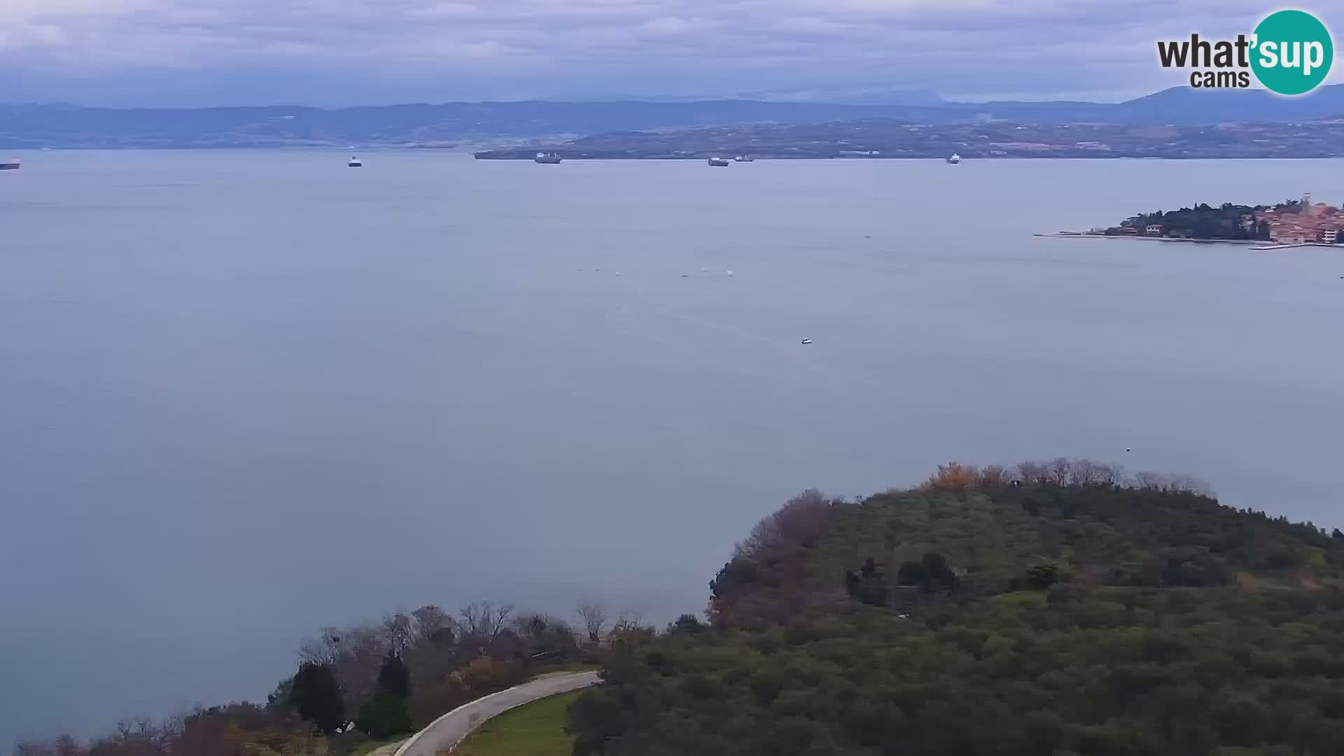 Izola live cam- Amazing view from Belvedere hotels