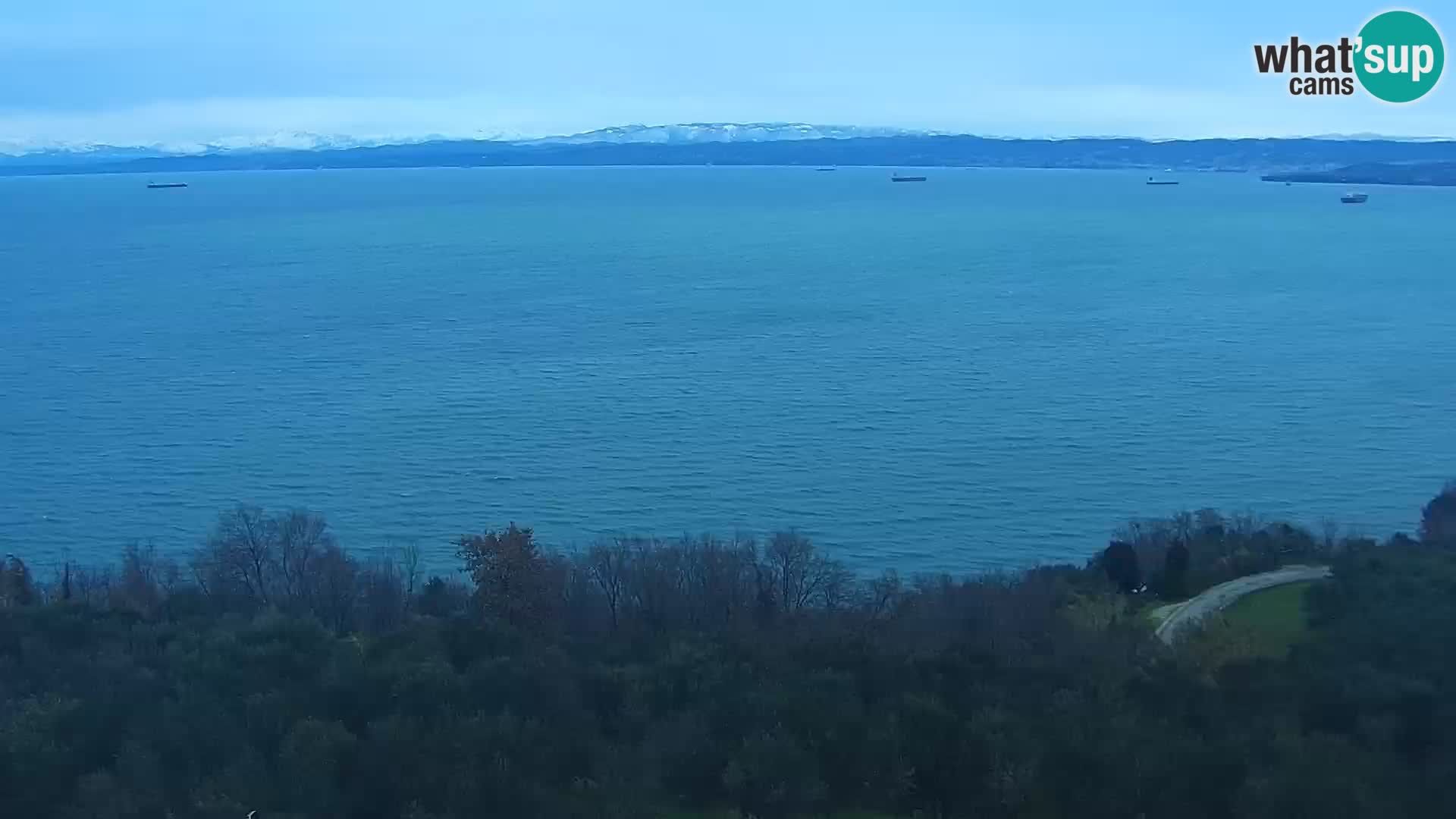 Izola webcam – Amazing view from Belvedere hotels