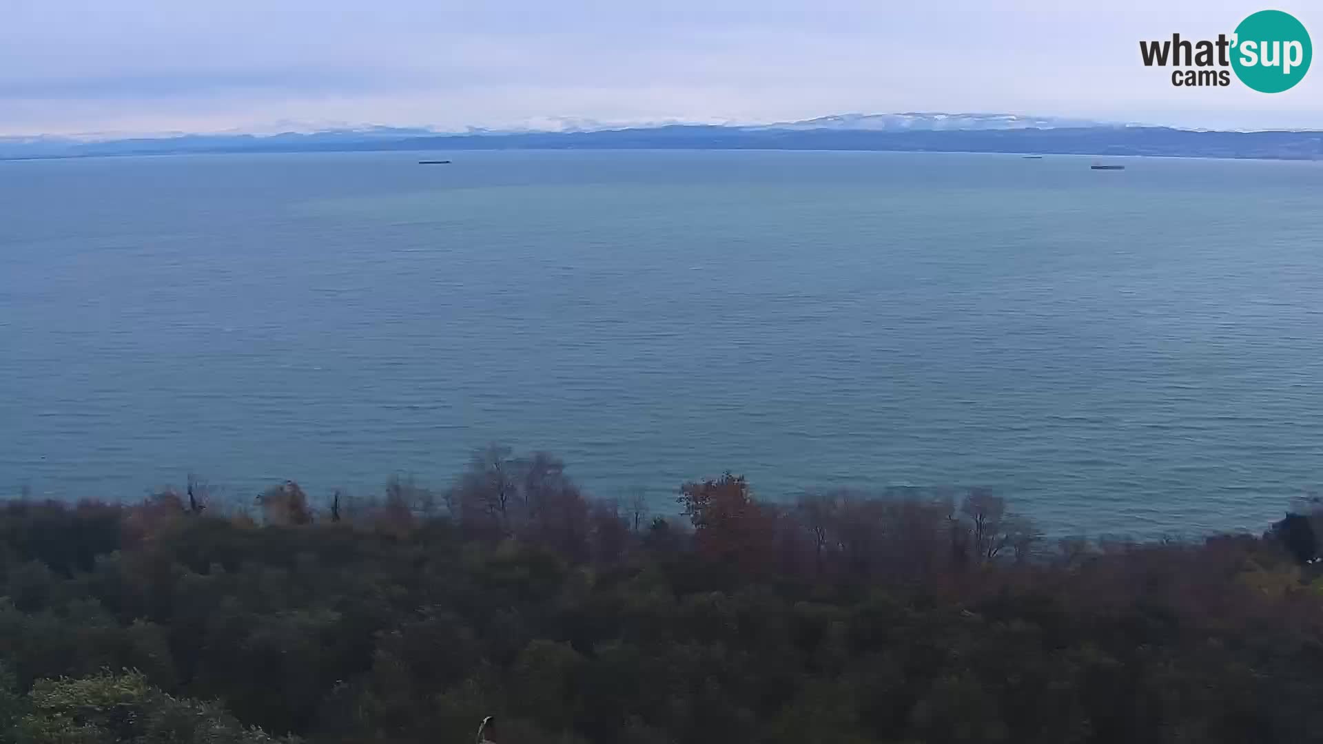 Izola webcam – Amazing view from Belvedere hotels