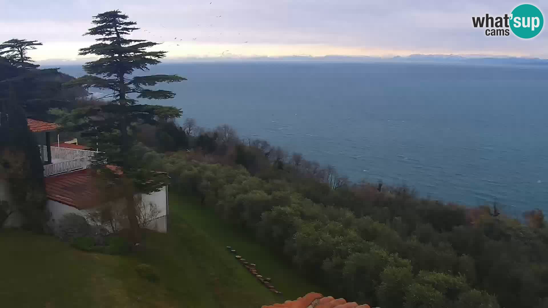 Izola en vivo – Amazing view from Belvedere hotels