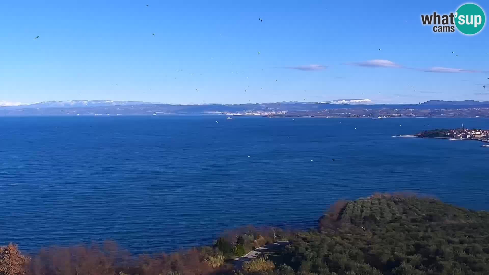 Izola webcam – Amazing view from Belvedere hotels