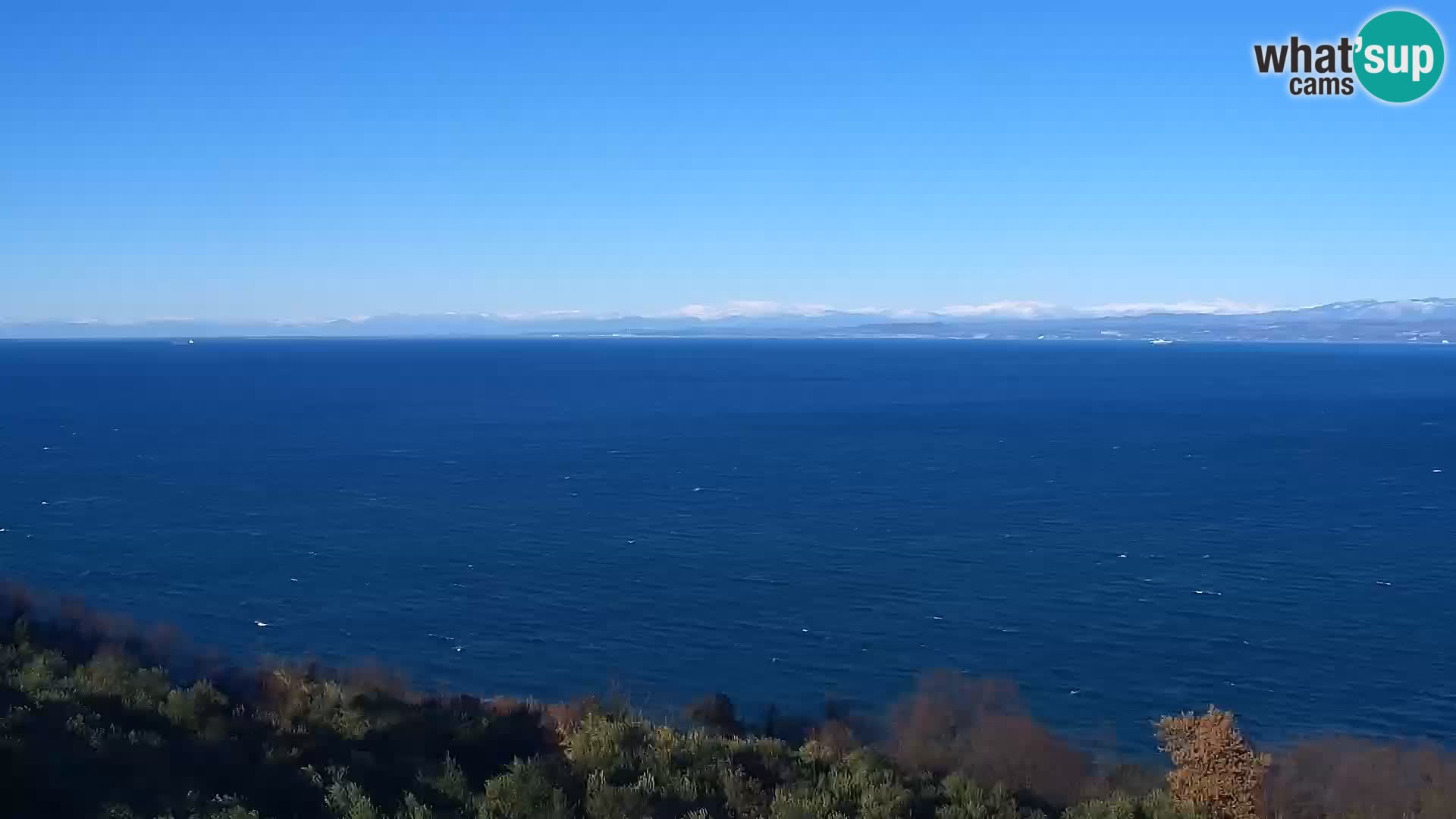 Izola webcam – Amazing view from Belvedere hotels