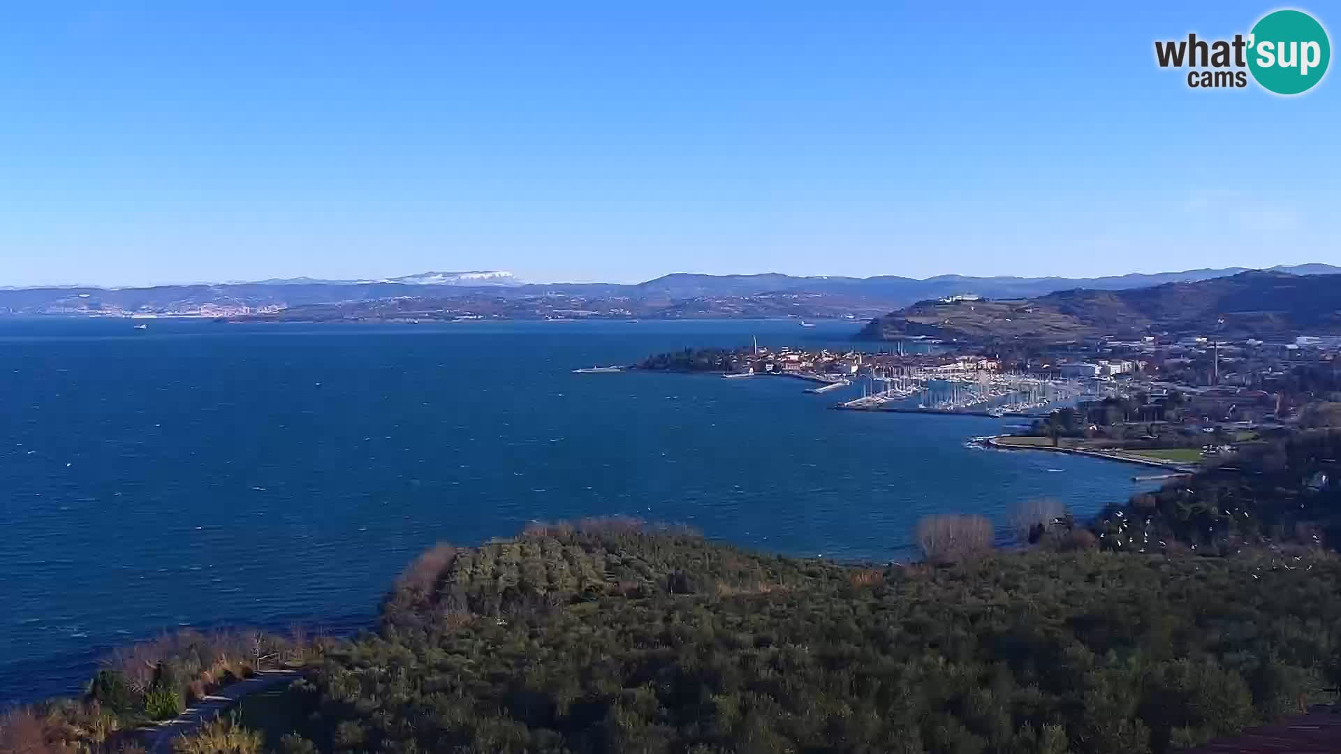 Webcam Izola – plage San Simon