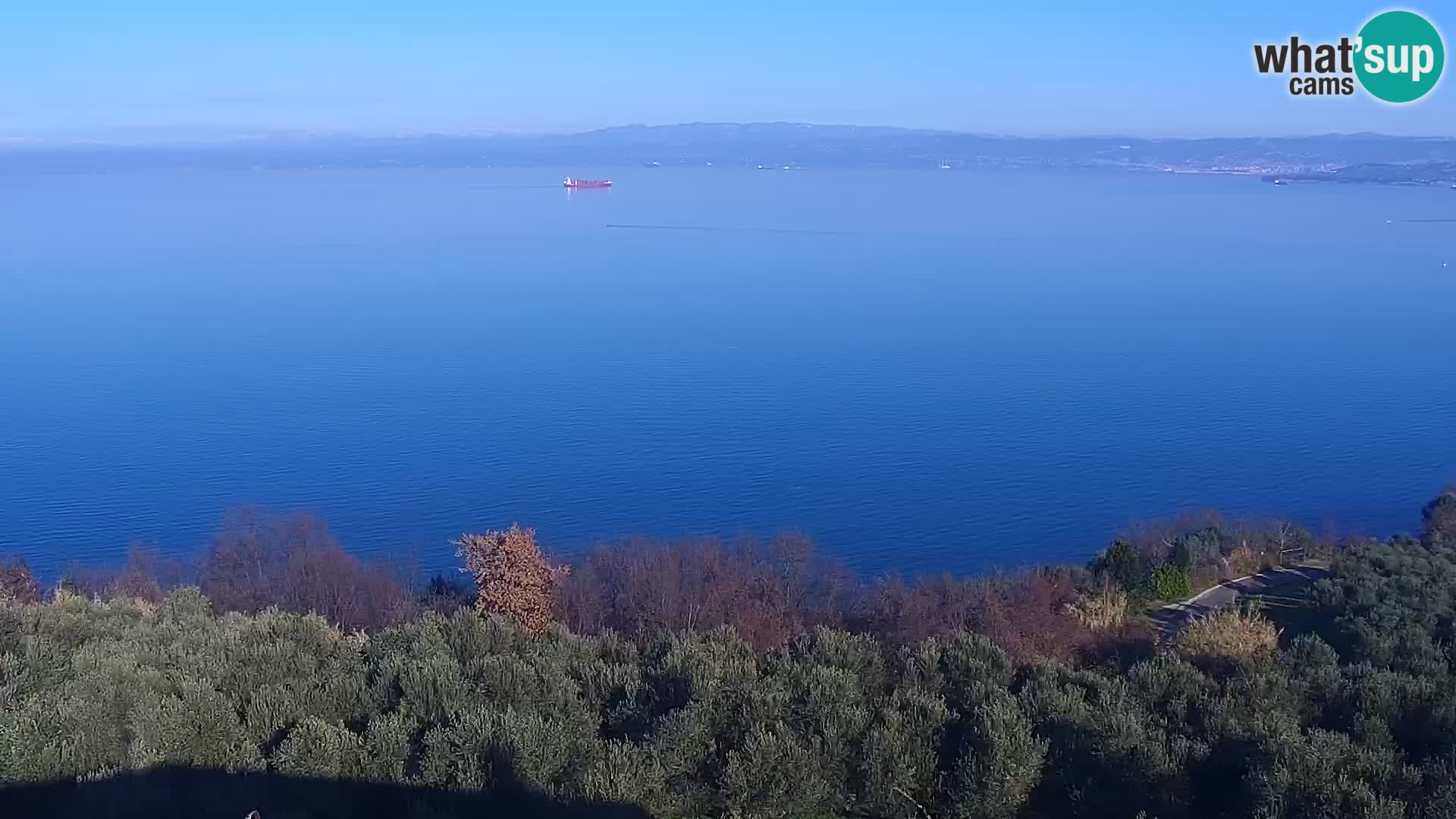 Izola live cam- Amazing view from Belvedere hotels