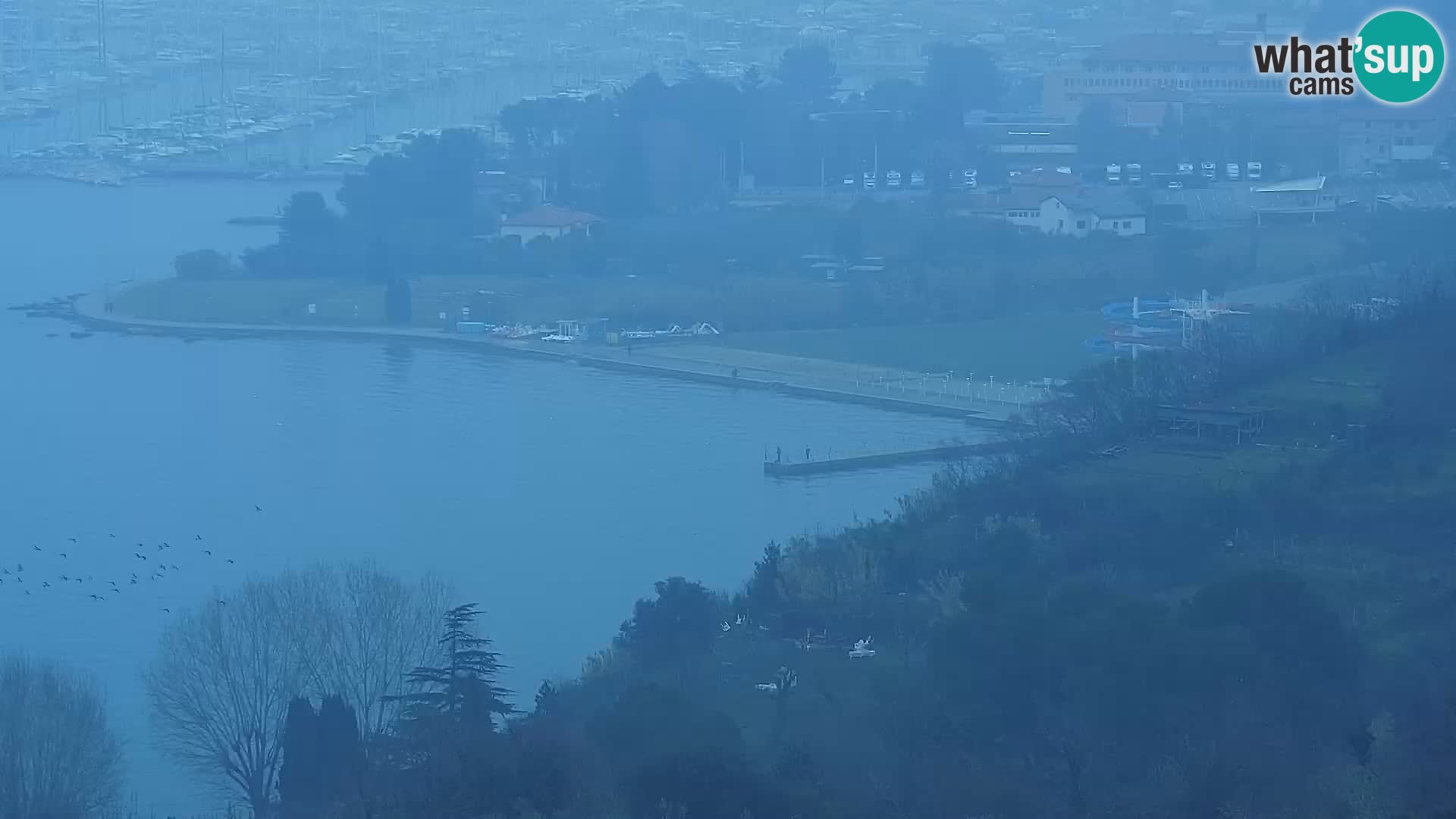 Spletna kamera Izola – plaža San Simon