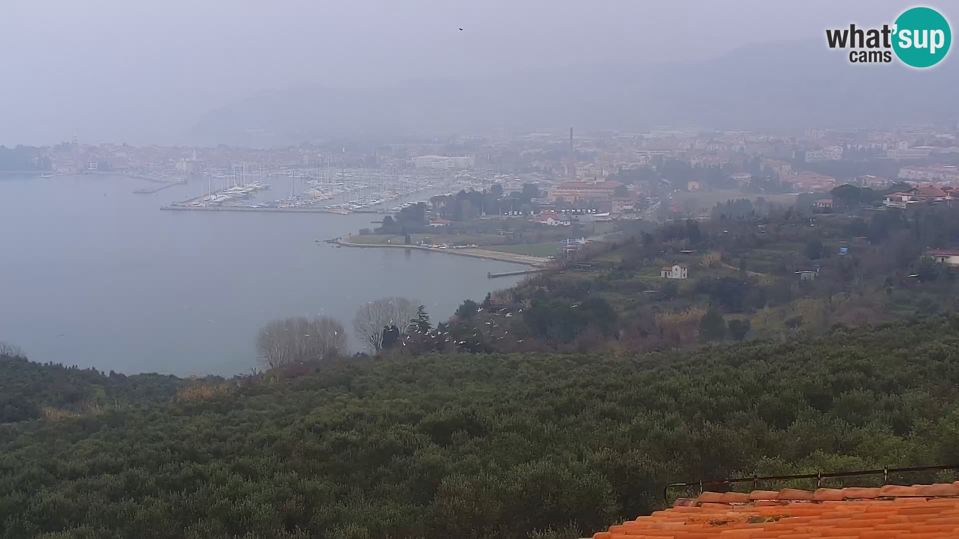 Izola live cam- Amazing view from Belvedere hotels