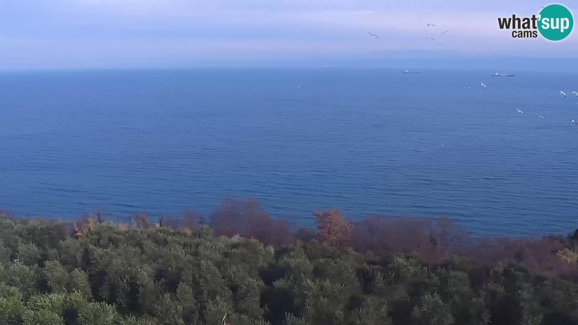 Webcam Izola – plage San Simon