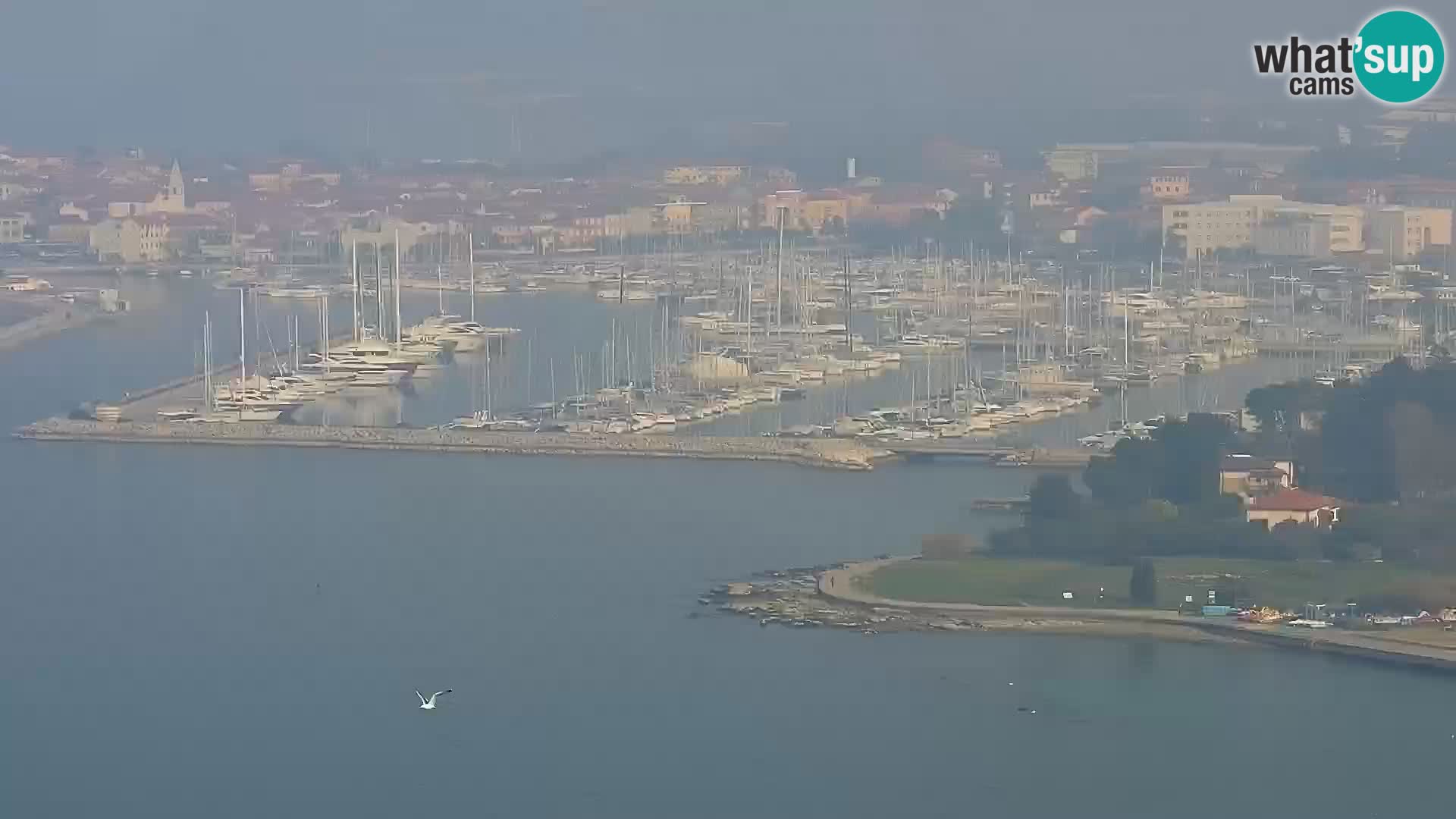 Izola webcam – Amazing view from Belvedere hotels