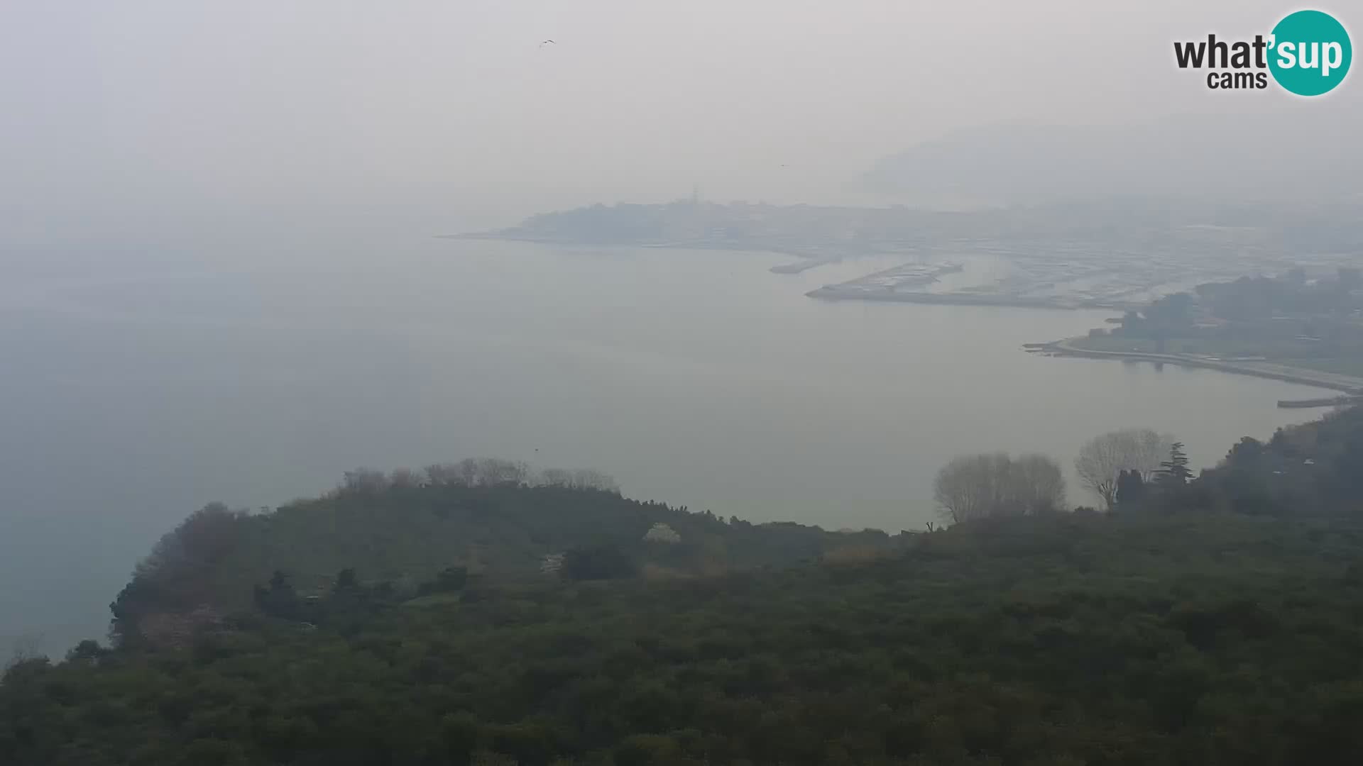 Izola webcam – Amazing view from Belvedere hotels