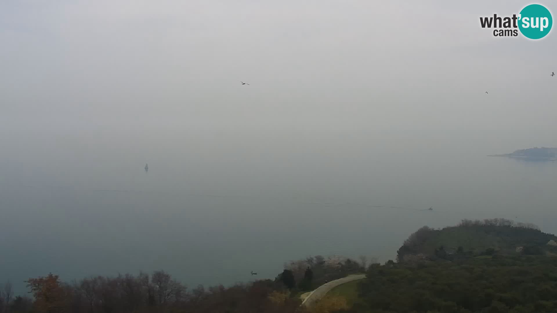 Izola webcam – Herrliche Aussicht von Belvedere Hotels