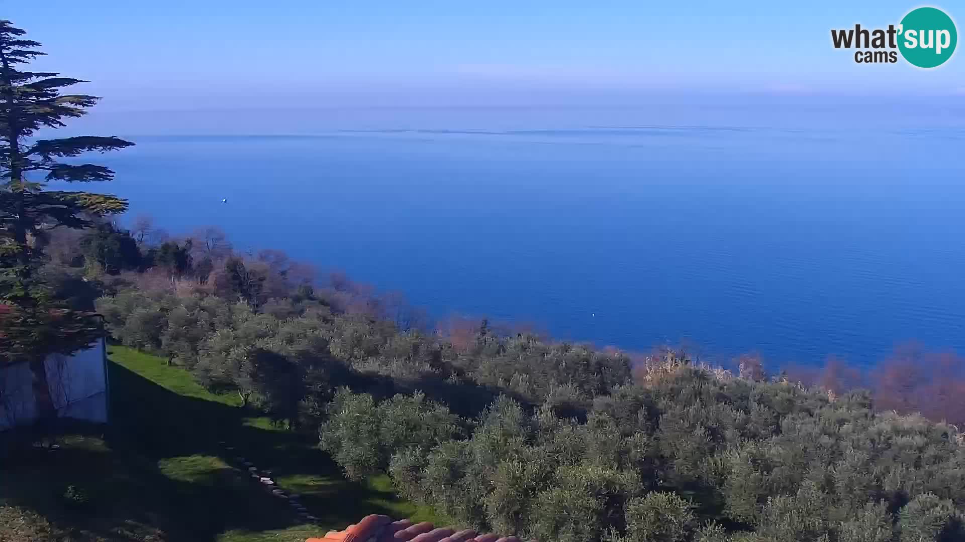 Izola webcam – Amazing view from Belvedere hotels