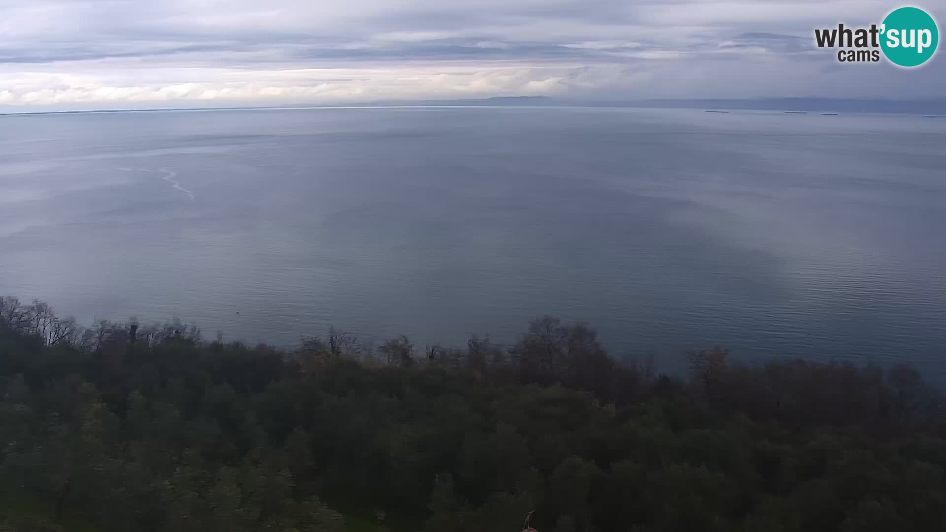 Izola webcam – Amazing view from Belvedere hotels