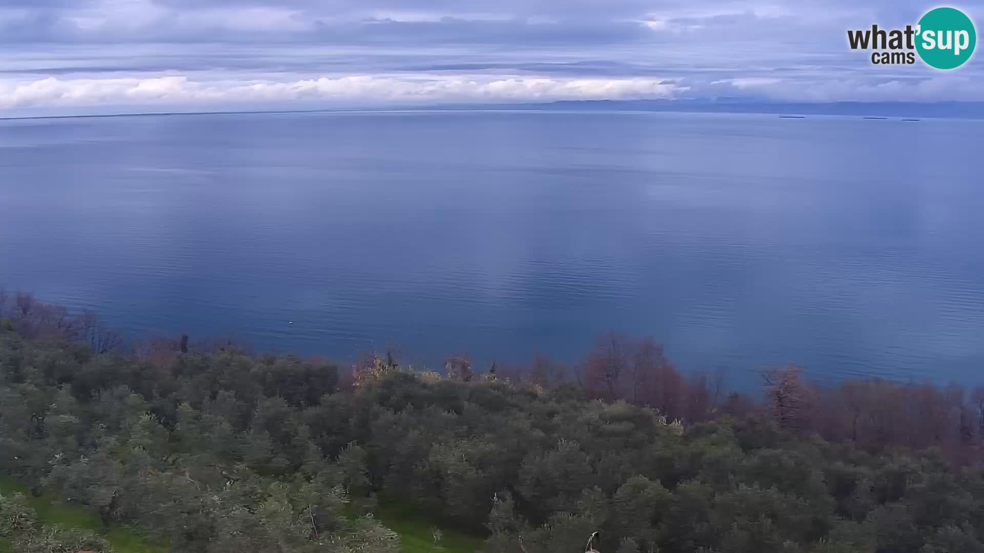 Webcam Izola – plage San Simon