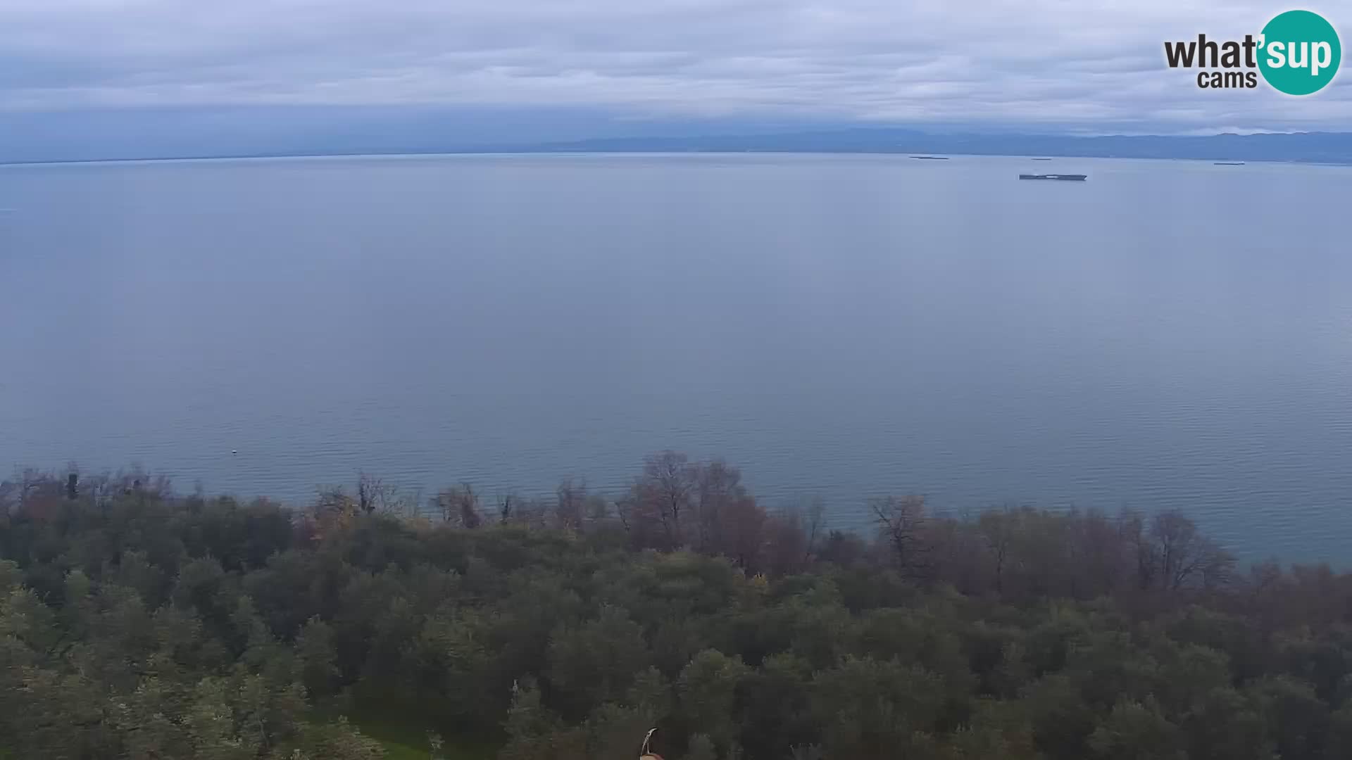 Izola webcam – Herrliche Aussicht von Belvedere Hotels