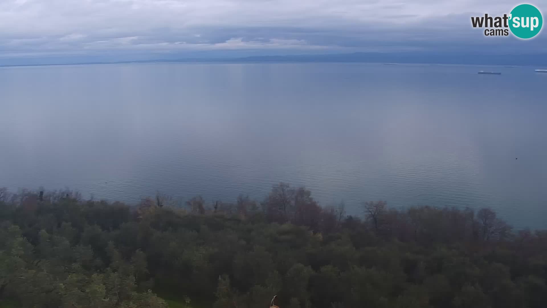 Izola webcam – Amazing view from Belvedere hotels