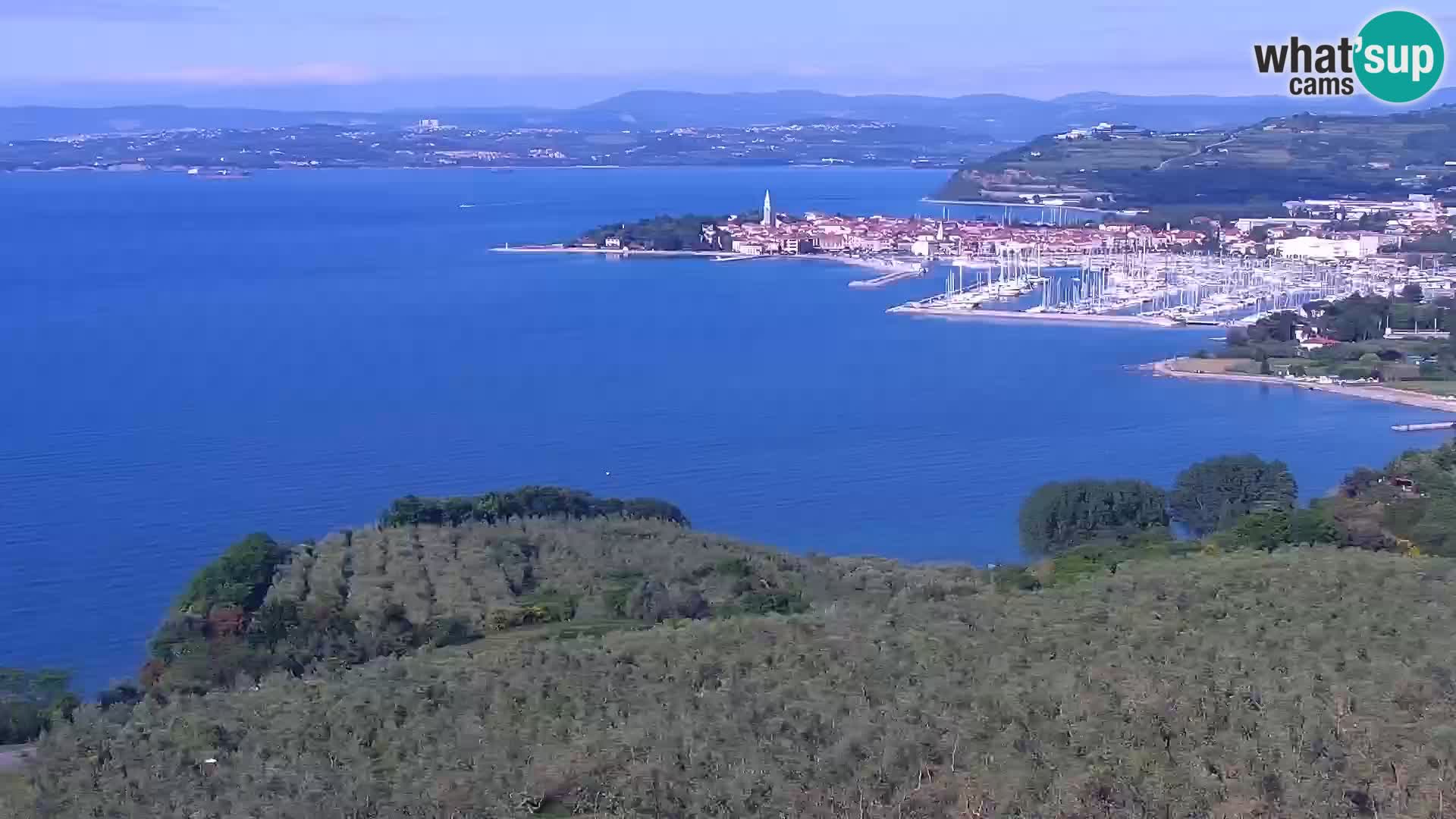Izola webcam – Amazing view from Belvedere hotels
