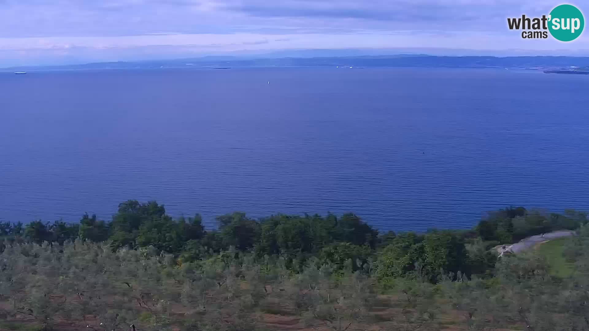 Izola v živo – enkraten pogled  s hotelov Belvedere